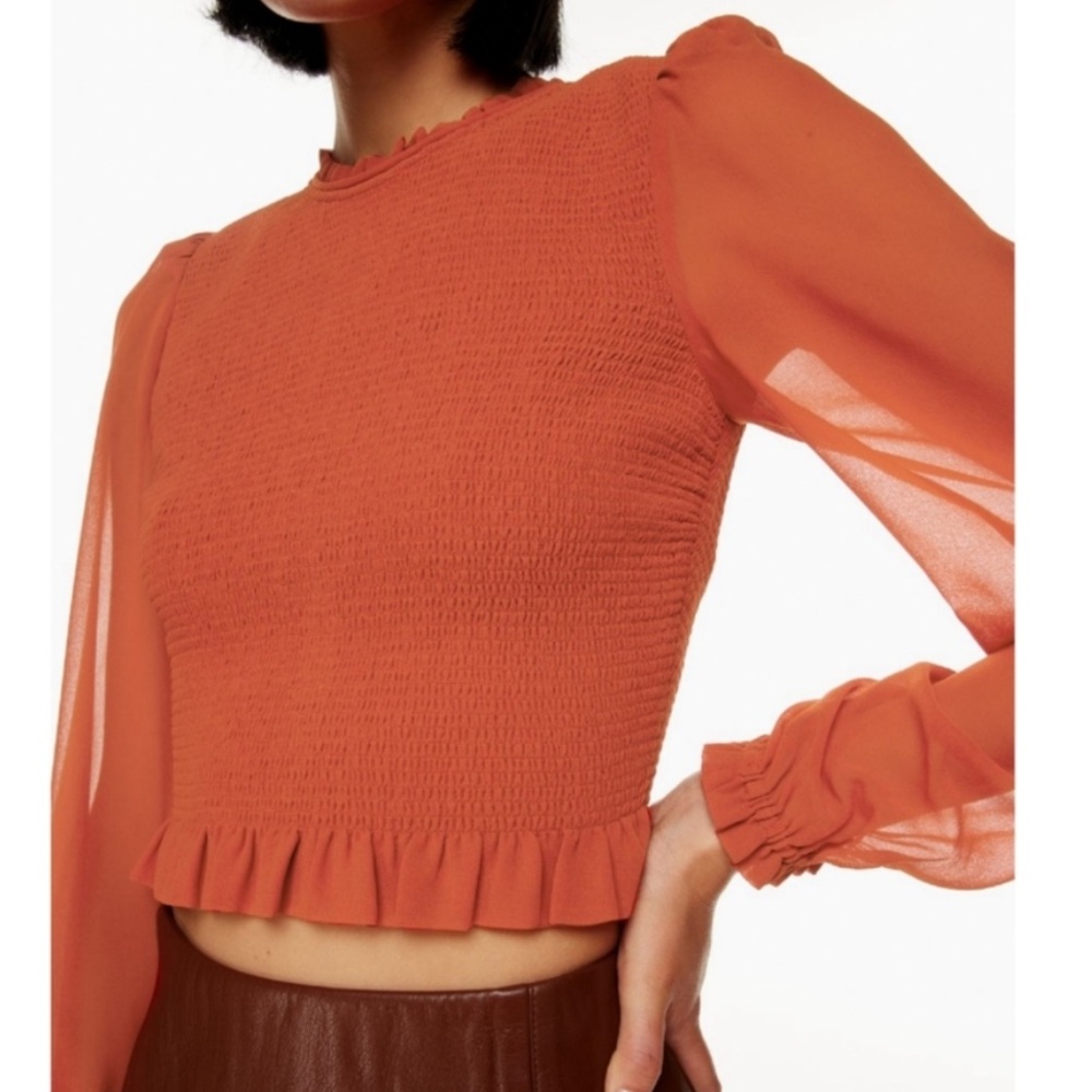 Aritzia Wilfred Tempest Smocked
Chiffon Blouse